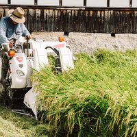 白いコンバインで稲を刈り取る農家の秋の収穫風景の写真