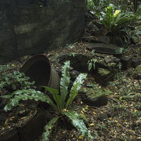 雑草や苔に覆われる第204設営隊釜場跡の写真