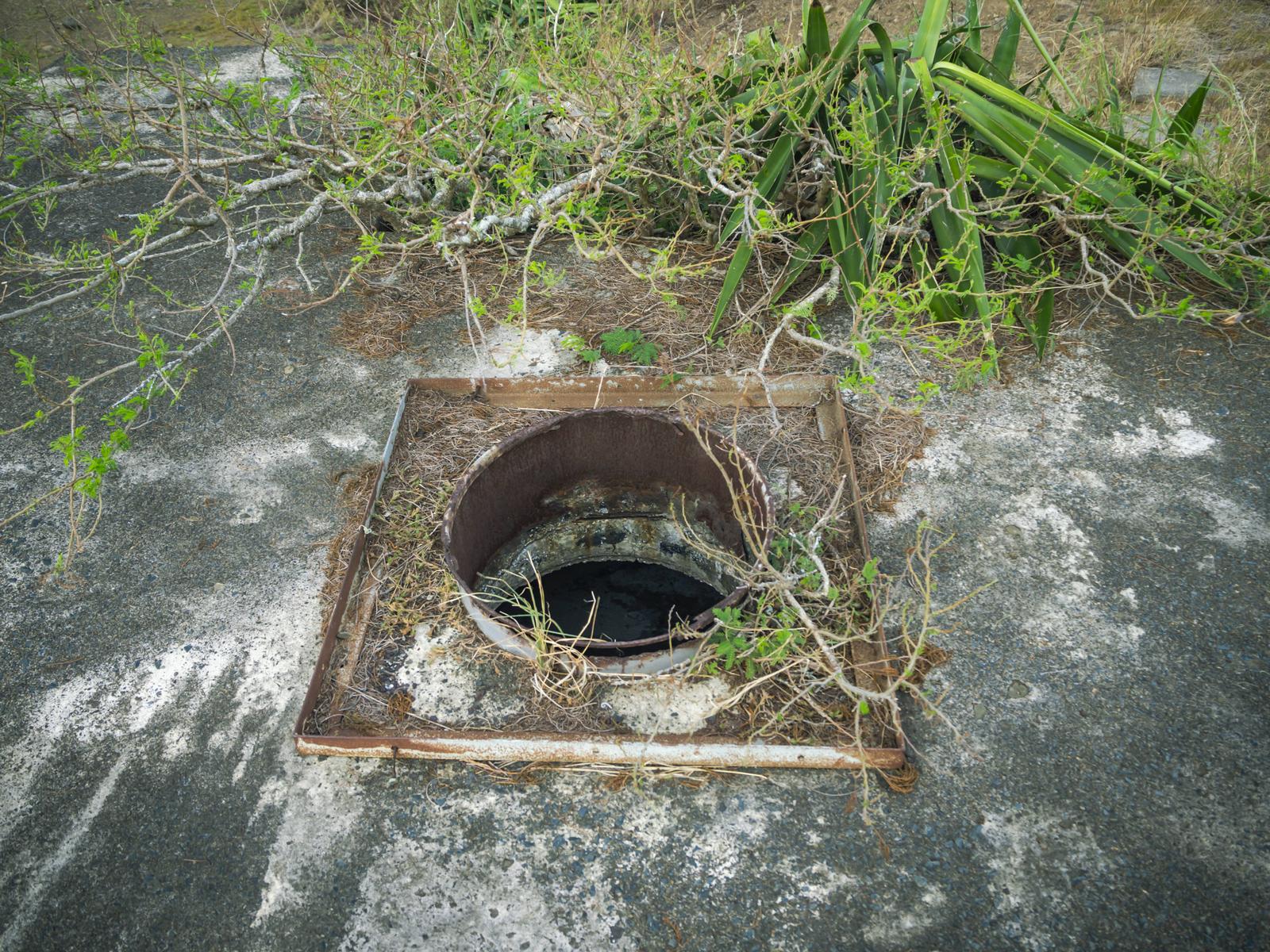 硫黄島の米軍IWOパブ屋上の腐食した穴と周囲に生い茂る雑草