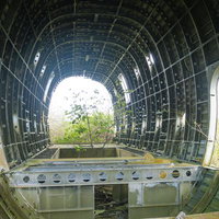 内に若木を宿す米軍墜落機（C-124）の写真