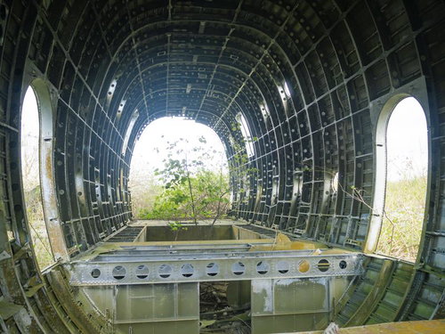 内に若木を宿す米軍墜落機（C-124）