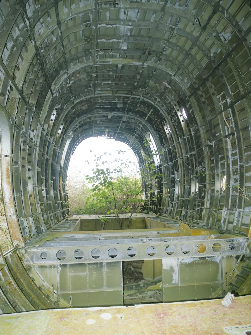 廃墟となった軍用機の胴体内部と草木