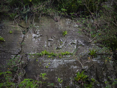 壁に掘られた「マドンナ」の文字