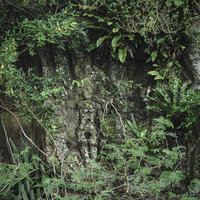 岩壁のマドンナの像の写真