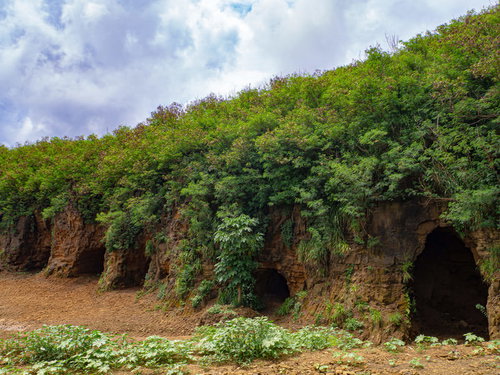 草に覆われた崖に残る戦車壕又は魚雷整備壕