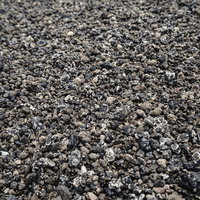 地球上イタリアと硫黄島にしか存在しない翁浜のウズラ石の写真