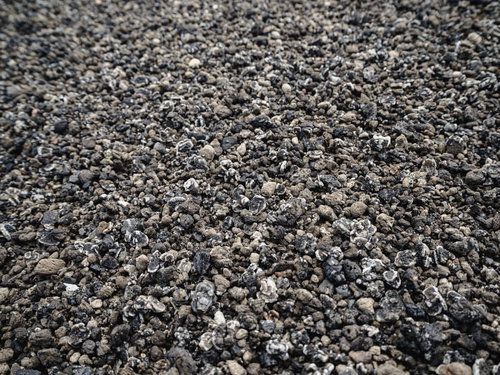 地球上イタリアと硫黄島にしか存在しない翁浜のウズラ石