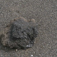 翁浜に打ち上げられた1000年ぶりに噴出したとされるマグマが急速に冷やされて固まった岩塊の写真