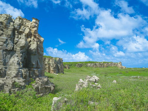 遠くまで連なる神山海岸の高い崖と広がる緑の絨毯