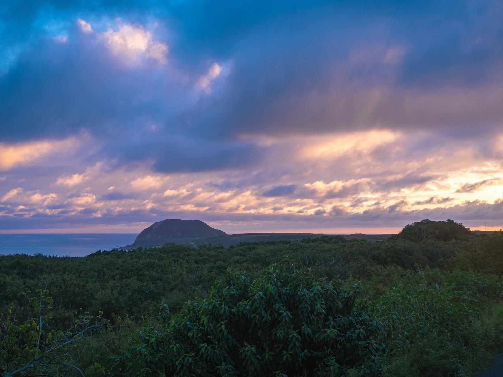ジャングルの向こうに見える摺鉢山と黄昏色に染まった雲の夕景