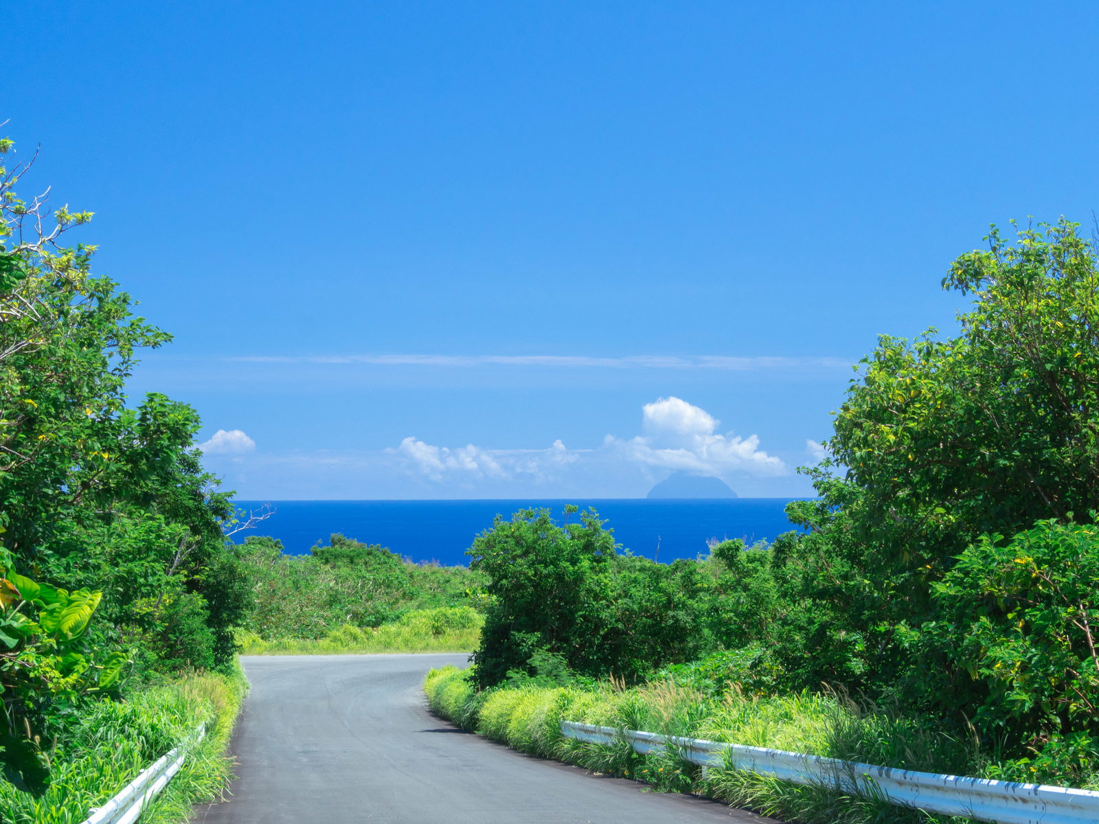 緑豊かな道路の先に青い海が広がり遠くに南硫黄島が見える風景