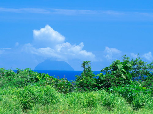 鬱蒼と茂る草木の向こう見える南硫黄島