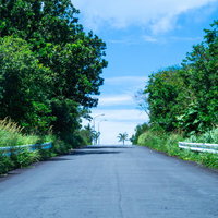 夏の日差しに焼け奥の景色がゆらめく坂道の写真