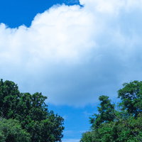 坂の上の雲の写真