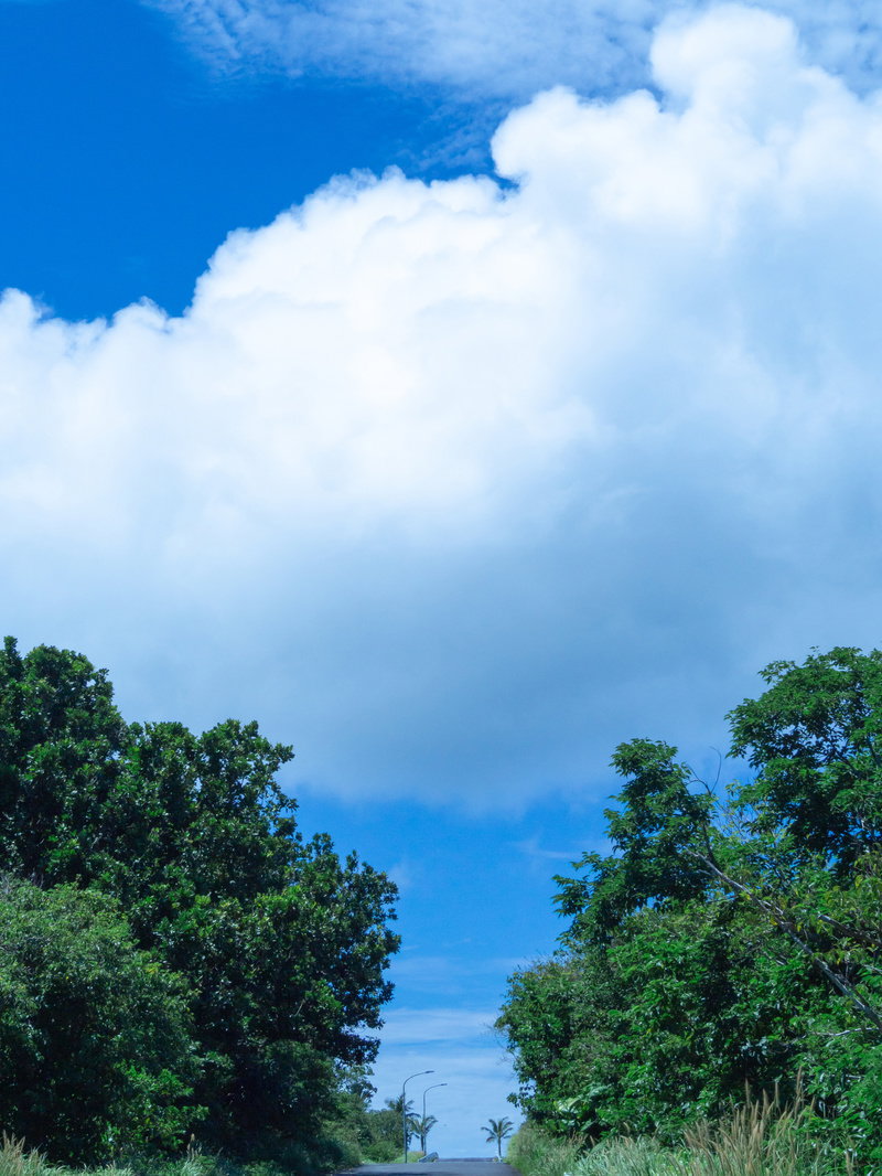 青空に白い雲が浮かび、手前に緑の木々が広がる自然風景