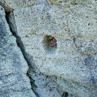 塹壕の壁に食い込み残る弾丸の写真