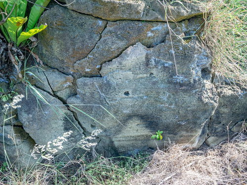 弾痕に錆びついた弾丸が残る北の鼻の塹壕跡