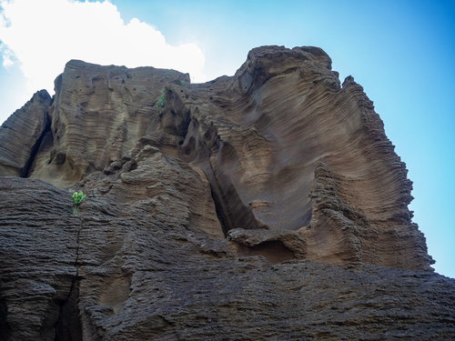 北の鼻の浜へと続く道の横にそそり立つ岸壁