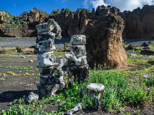 海岸に無造作に積み上げられたクジラの骨