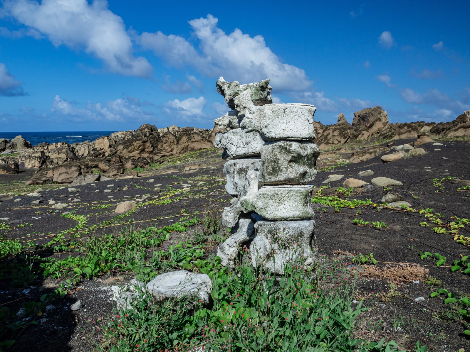 北の鼻の海岸で岩場に積み重なったクジラの骨と青空