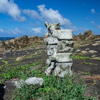 北の鼻の海岸に無造作に積み上げられた古いクジラの骨の写真