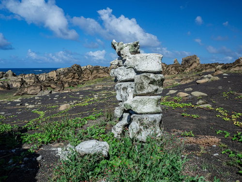 北の鼻の海岸に無造作に積み上げられた古いクジラの骨
