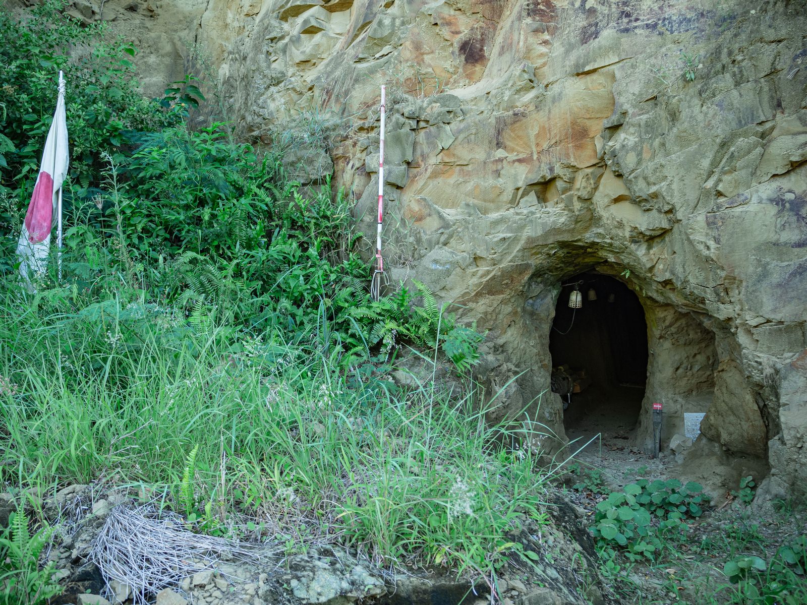石灰岩の崖に掘られた洞窟開口部と手前の雑草、立てられた旗