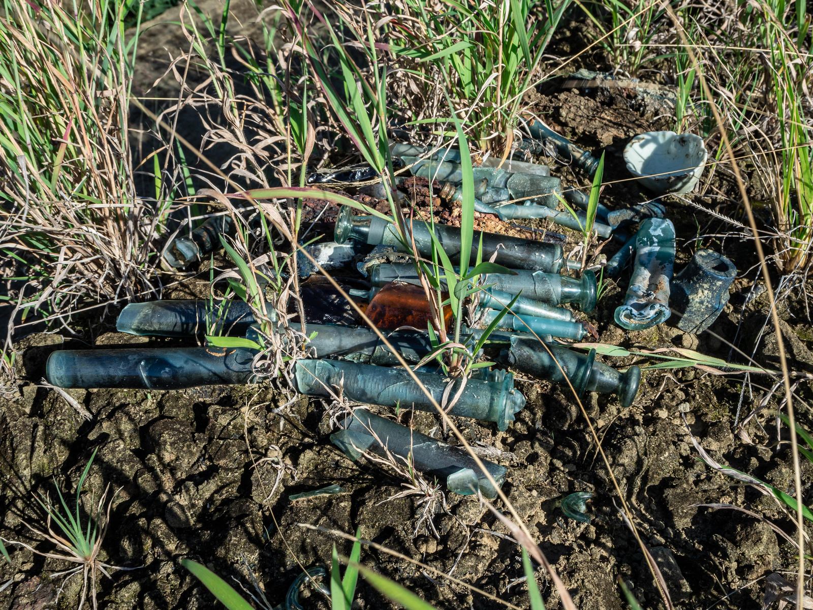 草地に散乱する大量の青いキャップ付き注射器