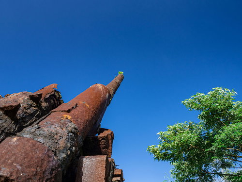 空に構える高角砲の砲身の先に芽生える緑
