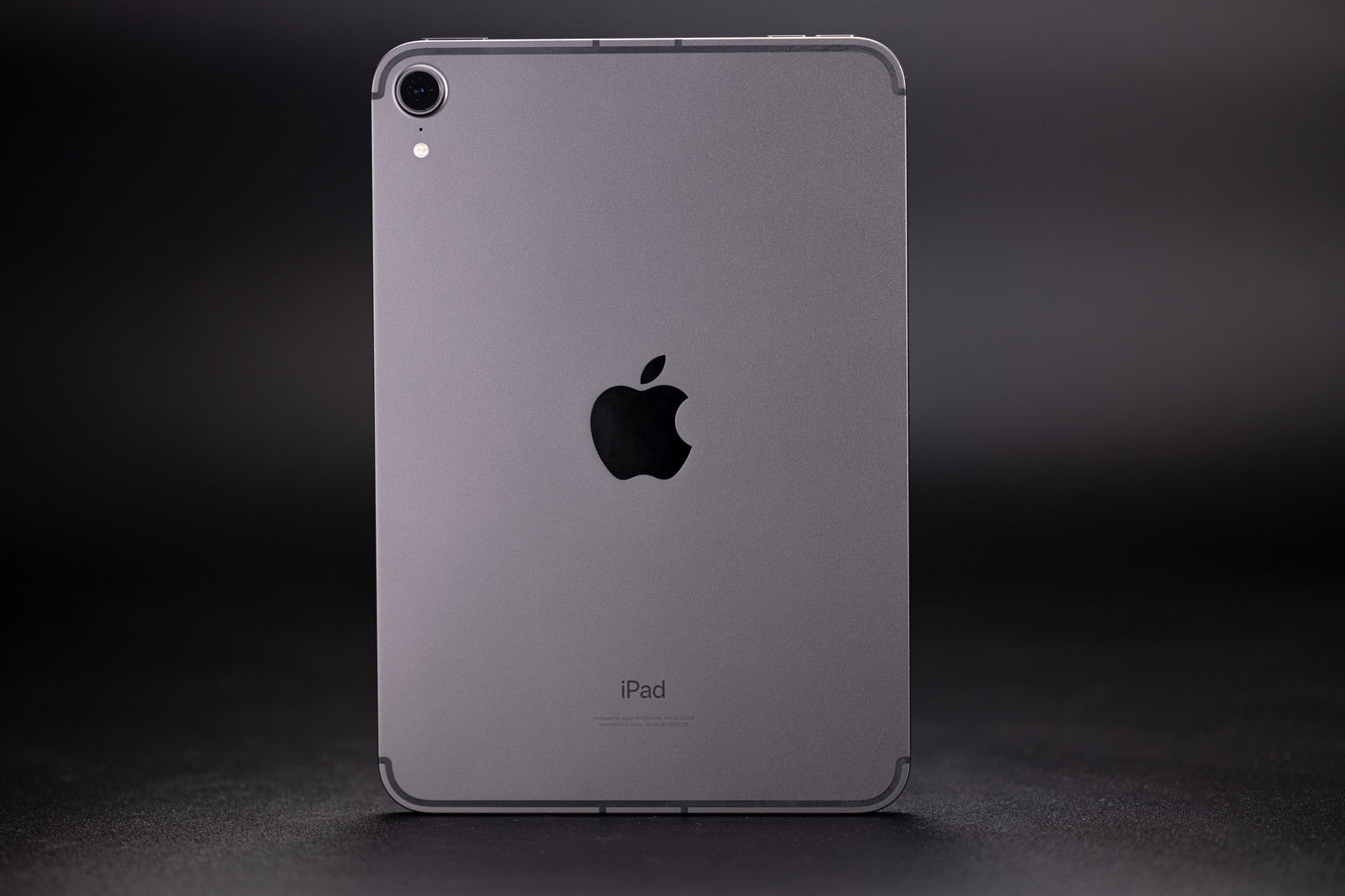 シルバーカラーのiPad mini第6世代の背面