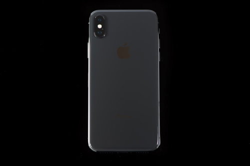 雪が積もった木々を見上げる冬の森