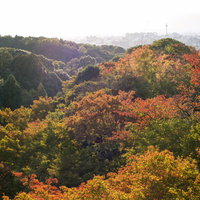 紅葉と黄葉に色づき始めた秋の山並みの風景の写真