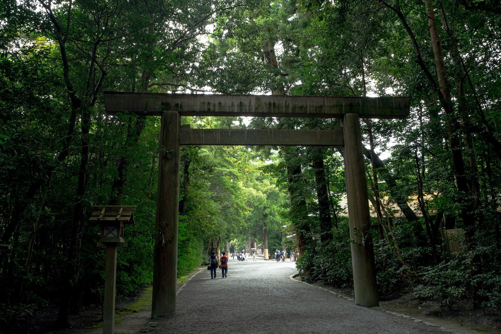 緑の森に囲まれた参道を歩く参拝者と奥に見える木製の第二鳥居