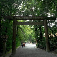 外宮の第二鳥居に向かって森の中を進むの写真