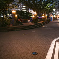 大岡川側の伊勢佐木長者町、夜の路地の街灯と建物の写真