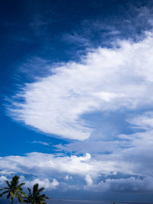 南硫黄島付近の海底火山の噴火により上空に広がる噴煙