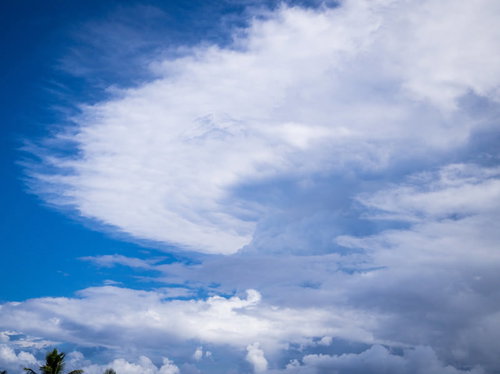 南硫黄島近海の海底火山の噴火による噴煙