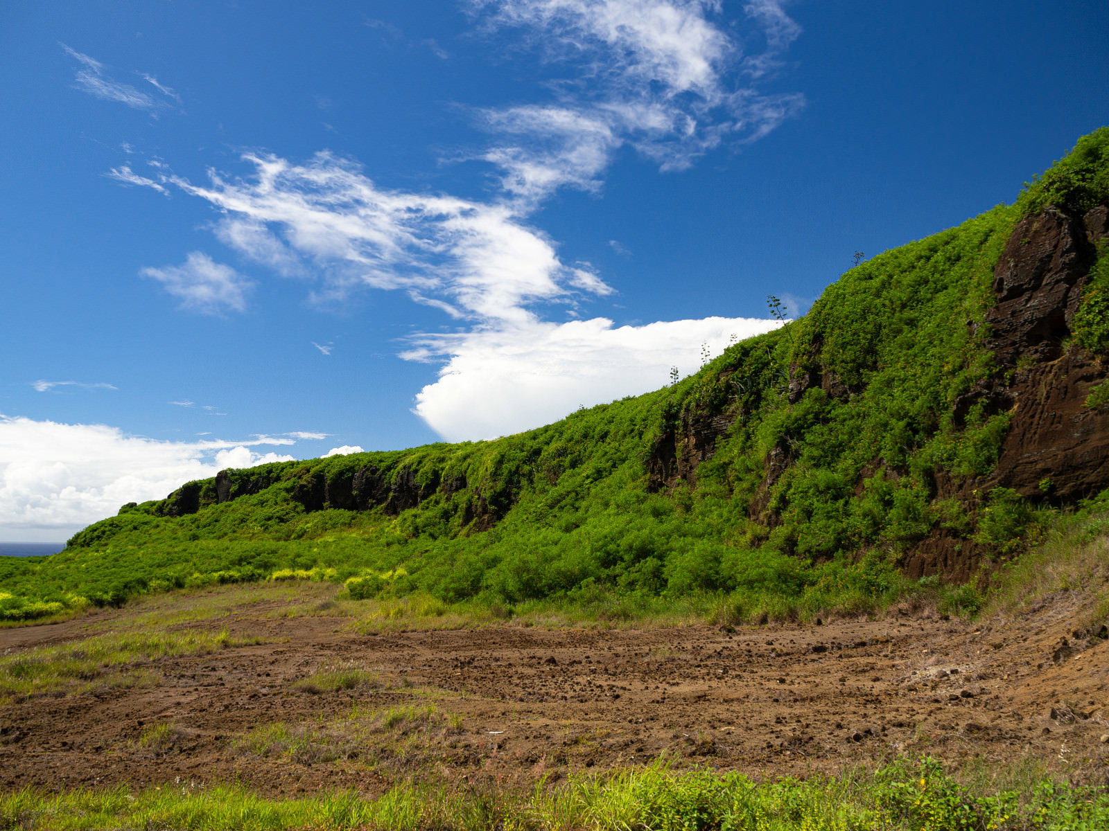 青空と雲をバックに緑の草原が広がる東海岸の断崖風景