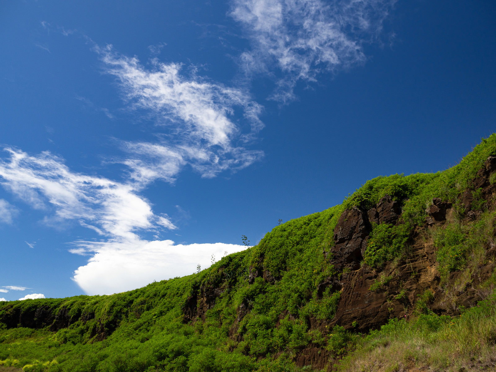 青空の下、緑の草に覆われた岩肌の断崖が連なる硫黄島東海岸の風景