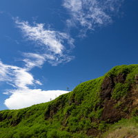 草に覆われた岩が連なる東海岸の断崖の写真