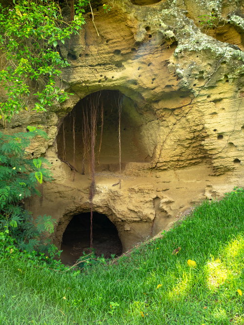 医務科壕へ続く道脇の壕周辺の岩肌に今も残る無数の弾痕