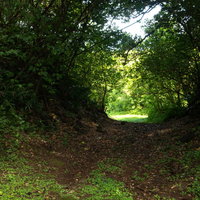 大阪山砲台に通じる道の写真