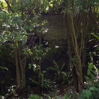 木々に囲まれて建つ大阪山トーチカの写真