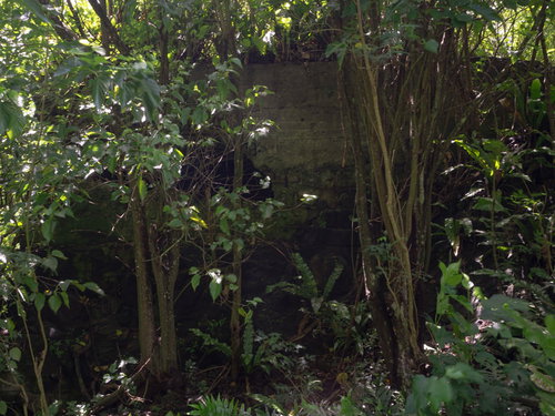 木々に囲まれて建つ大阪山トーチカ