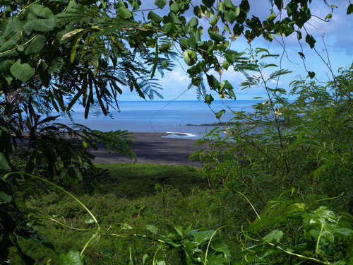 大阪山砲台から臨む北海岸（漂流木海岸）