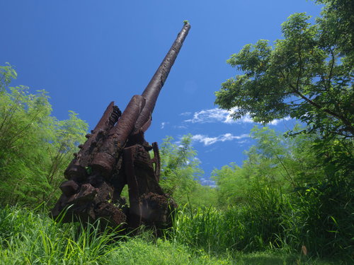 鮮やかな緑の中で天を仰ぐ錆びついた高角砲
