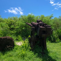 砲座が草に覆われる高角砲の写真