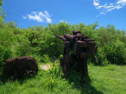 砲座が草に覆われる高角砲