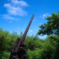 緑の大地と空をつないでいるかのように立つ高角砲の写真