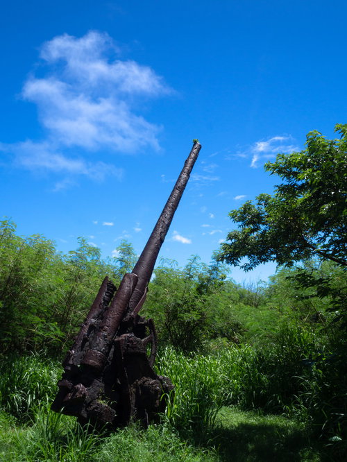 緑の大地と空をつないでいるかのように立つ高角砲